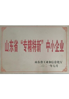 山東省專精特新企業(yè)
